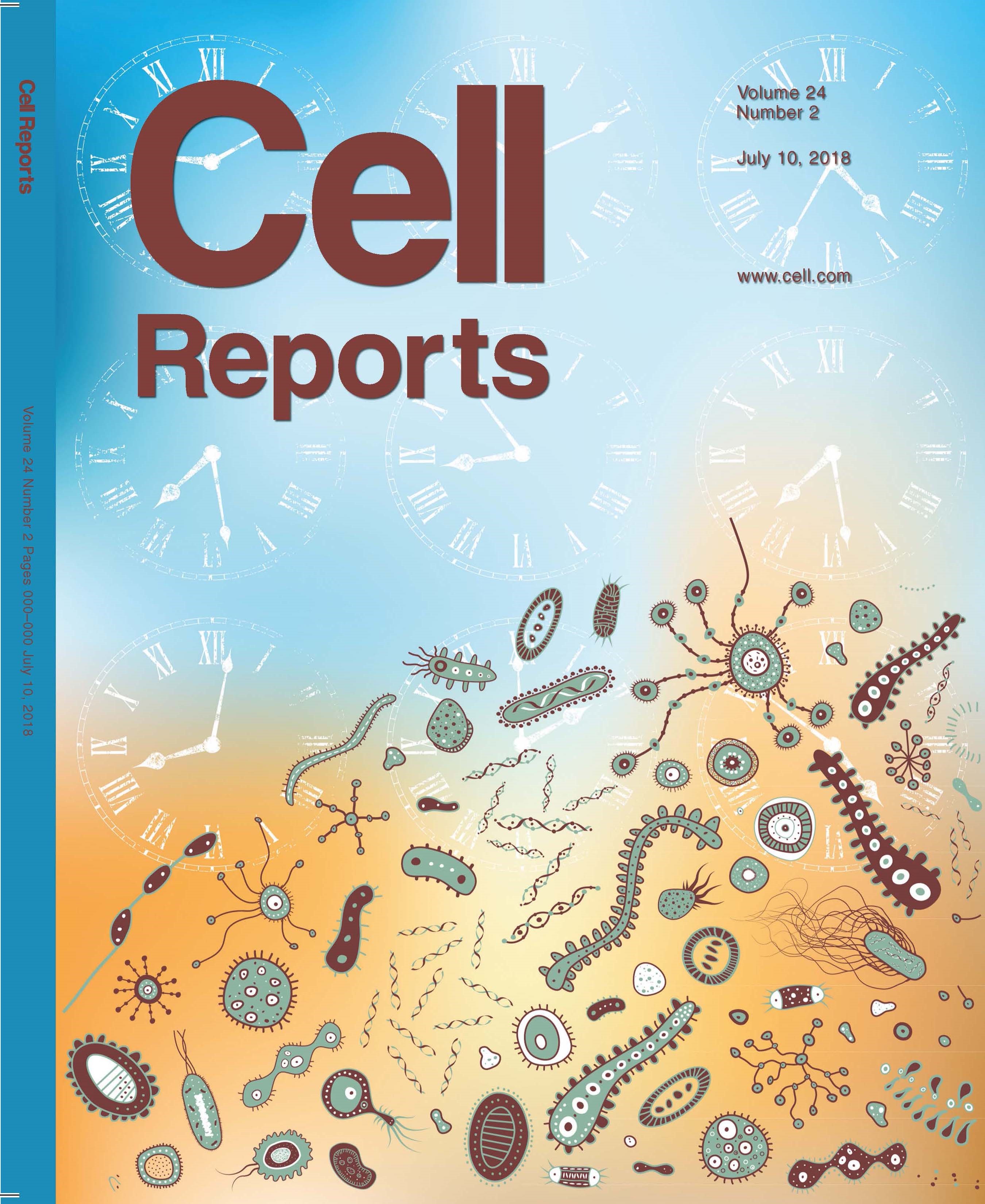 Paper by Researchers Selected for Cover of Cell Reports | Department of Surgery | University of